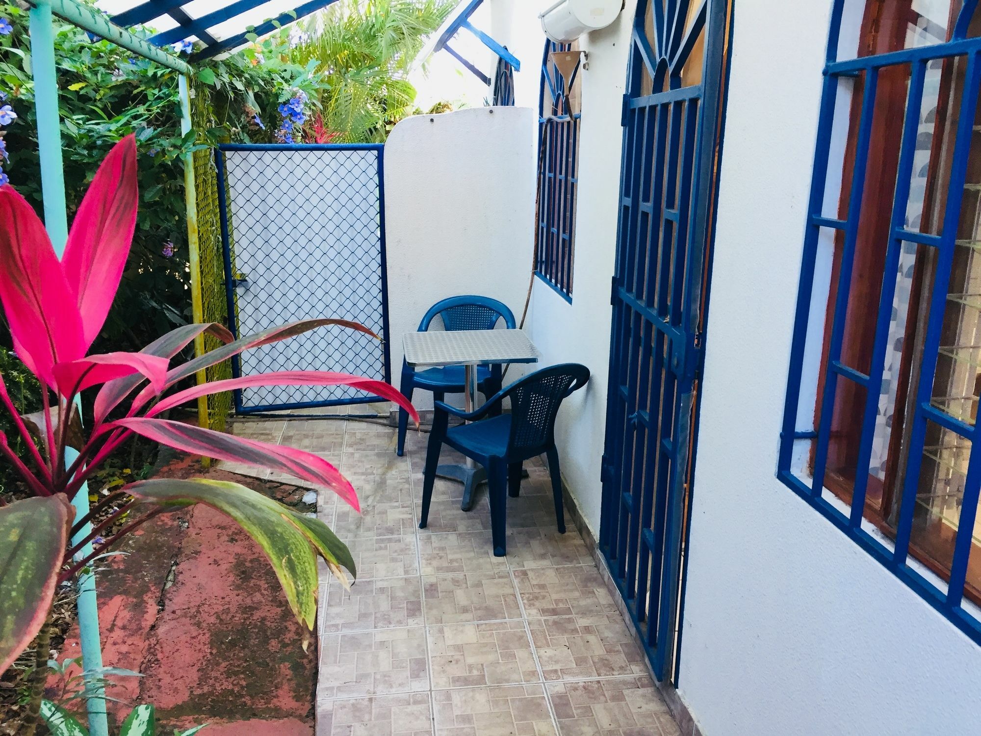 Bed and Breakfast La Perlita Jacó Zewnętrze zdjęcie